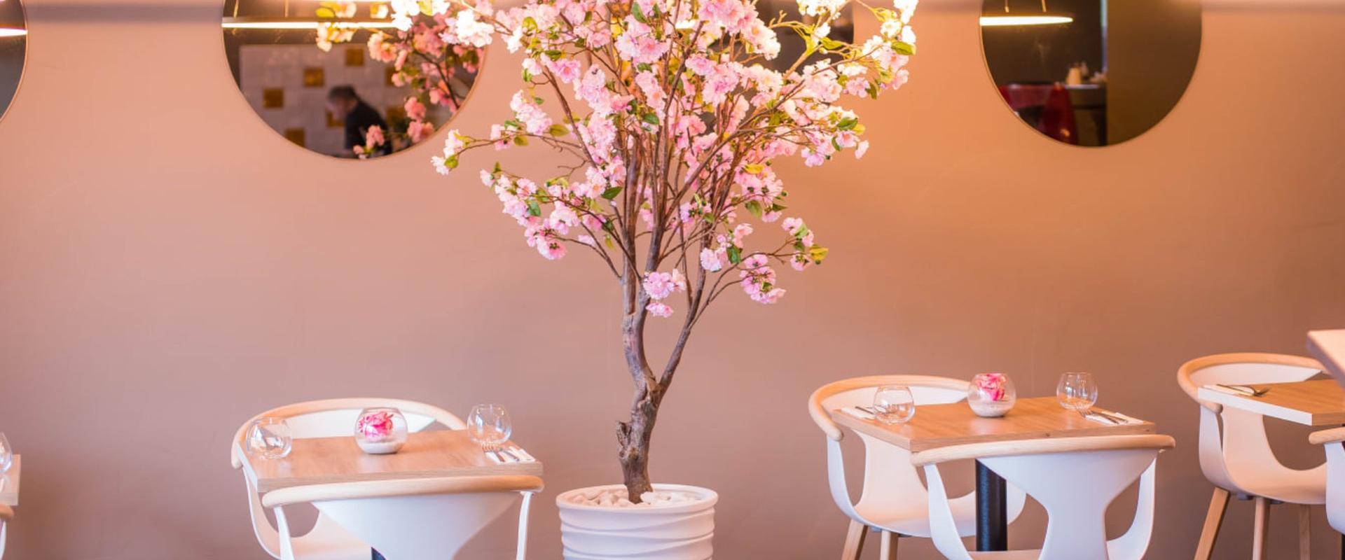 Ravintola Sakura Resto