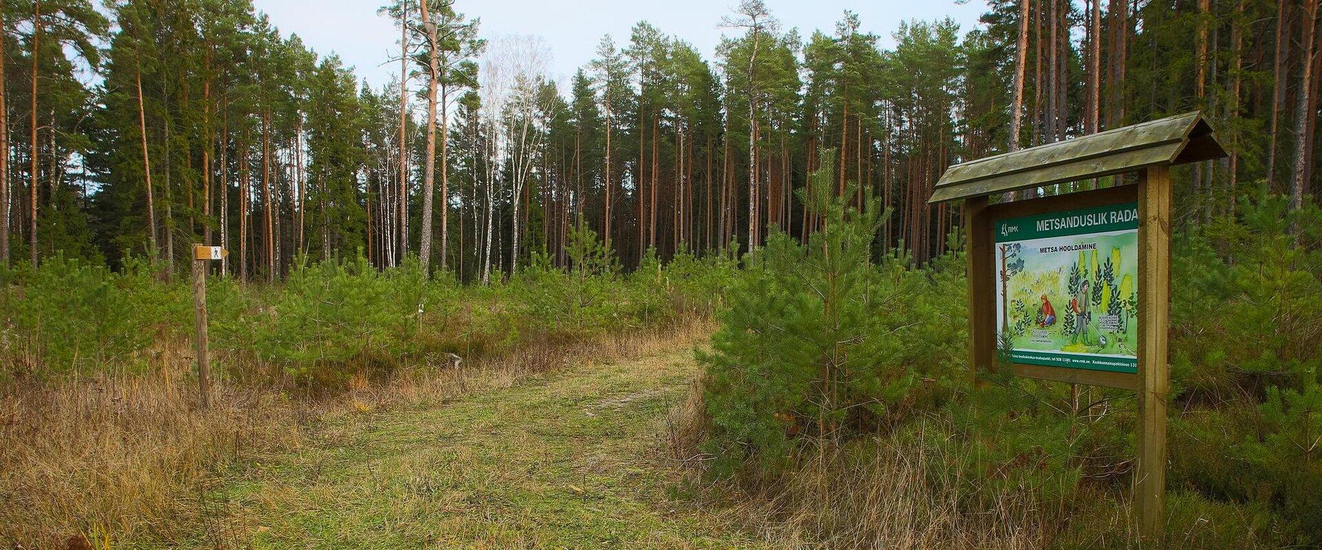 Peraküla metsanduslik õpperada