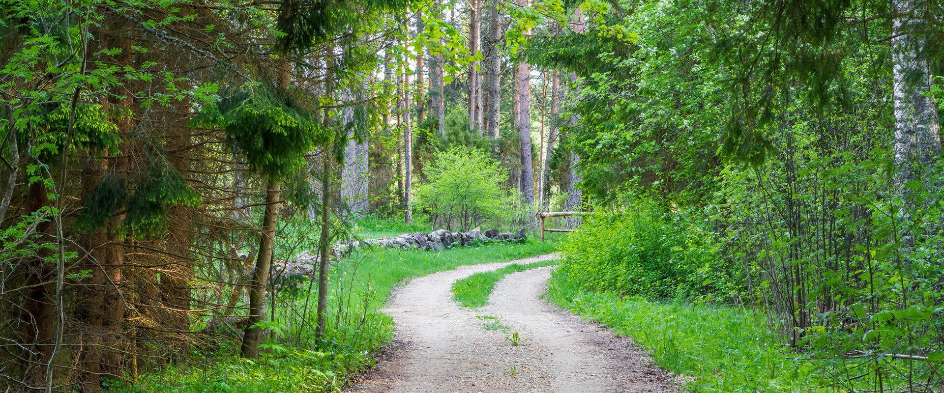 Peraküla metsanduslik õpperada