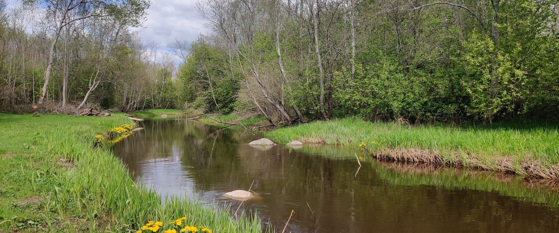 Ilvese cottage - privaatne puhkemaja Lintsi jõe kaldal