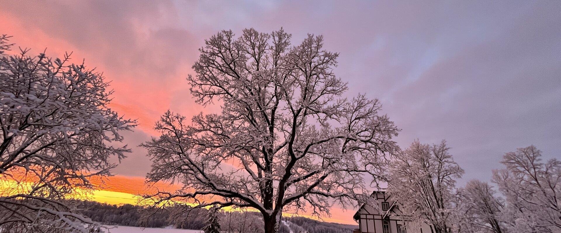 Sunrise tour in Viljandi_Pikk street and swing