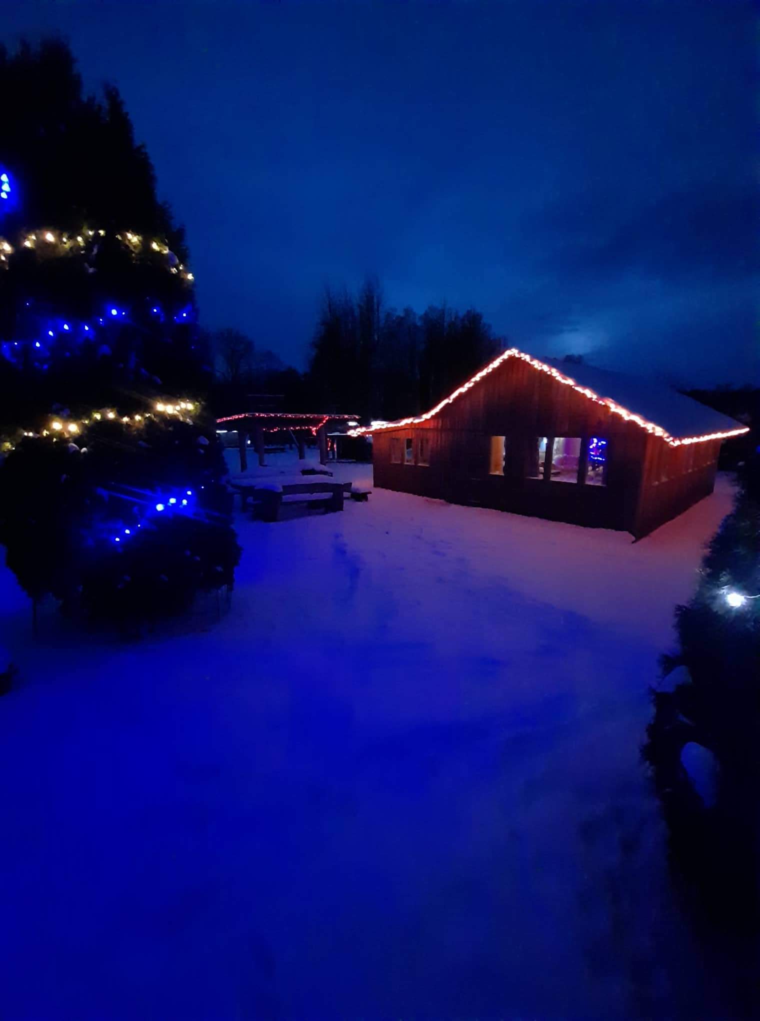 Paluküla Mäe talu jõulumaa