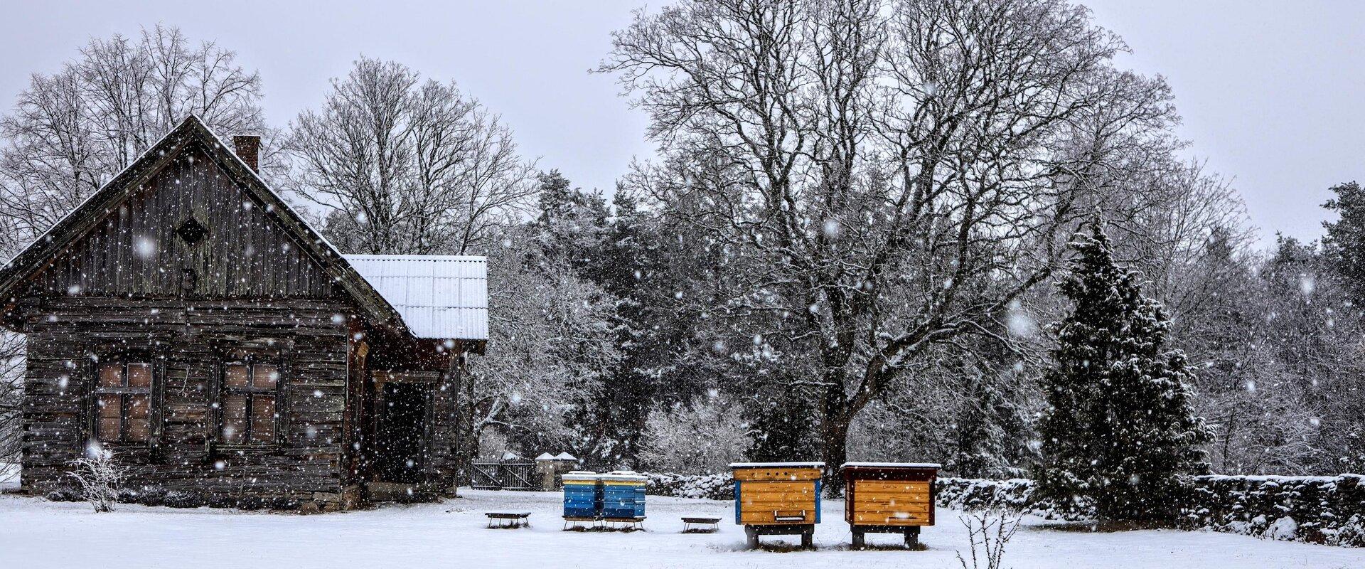 Püha Eelkäija Skiita Reomäel