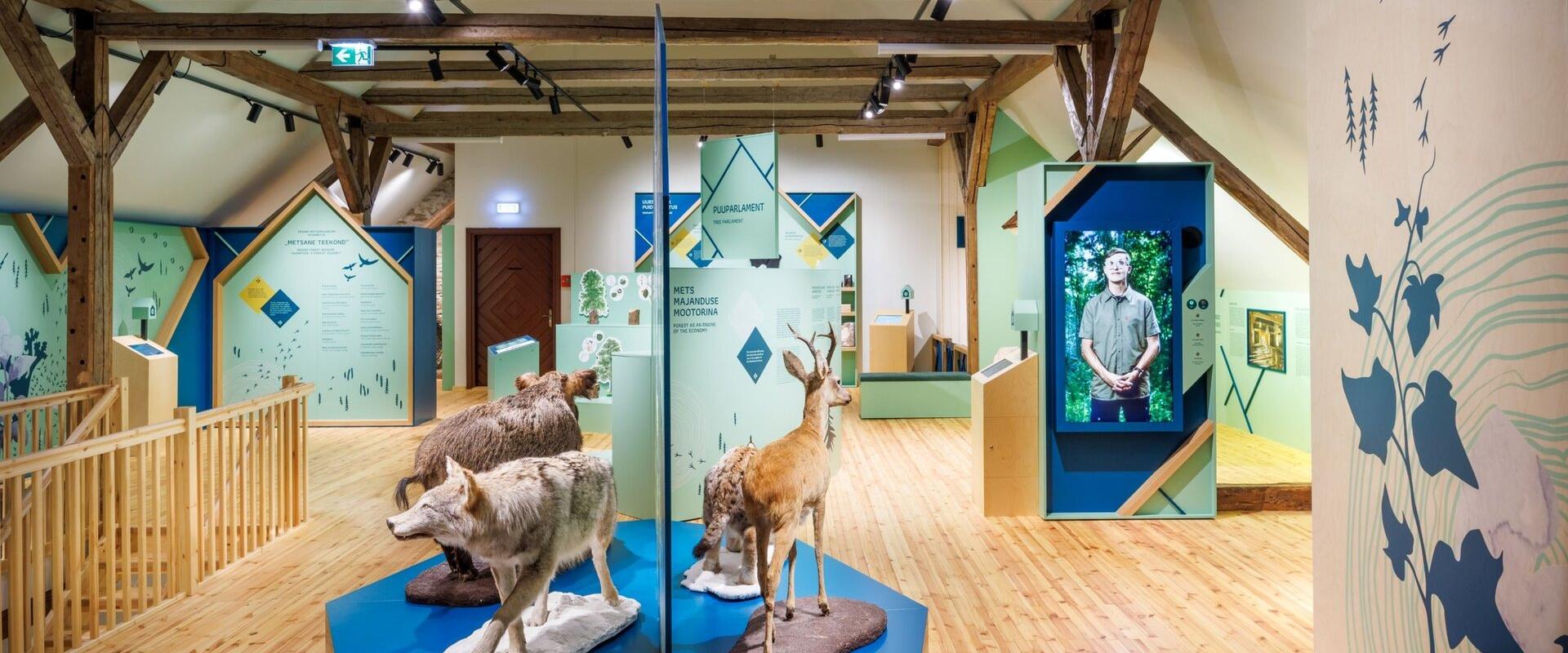 The new permanent exhibition in the Sagadi Forest Museum