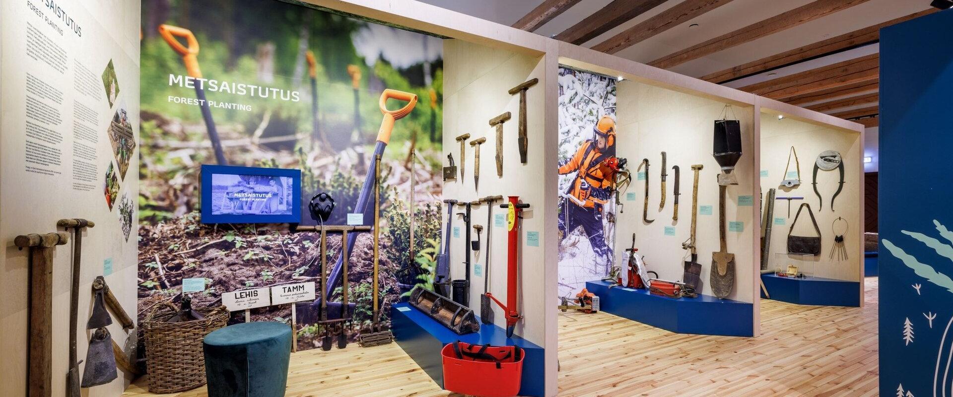 Dauerausstellung „Metsane teekond“ (dt. Waldige Reise) des Waldmuseums Sagadi