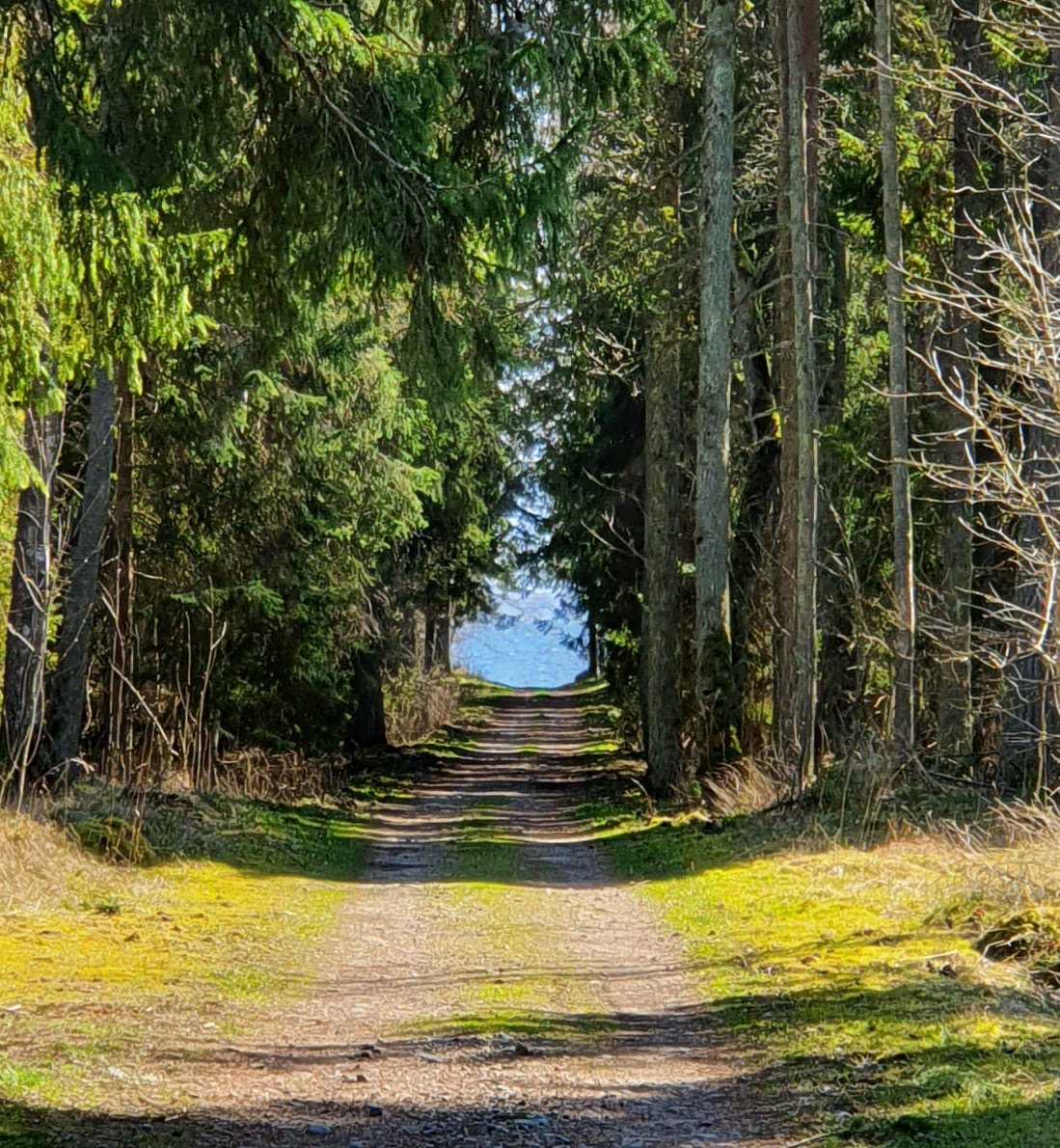 Aegna saare loodusmatk koos matkajuhiga