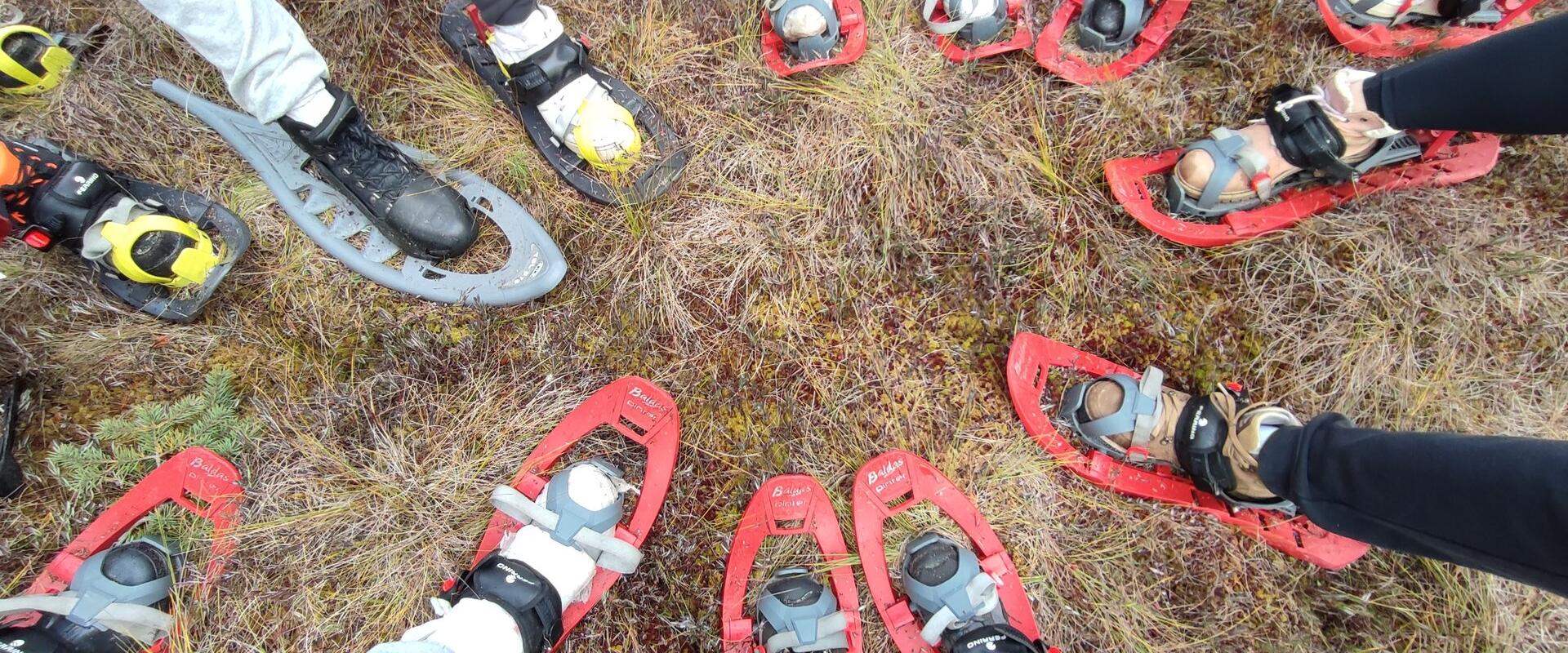 Elamustega Koordi raba räätsamatk Järvamaal