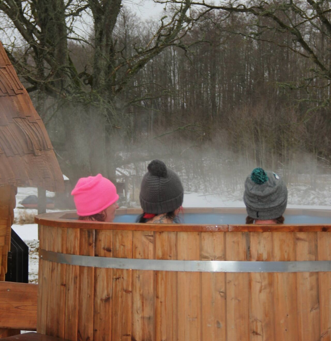 Sibulatee  saunafEST