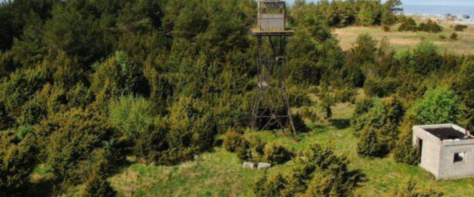 Bicycle tour around Vormsi with a support vehicle