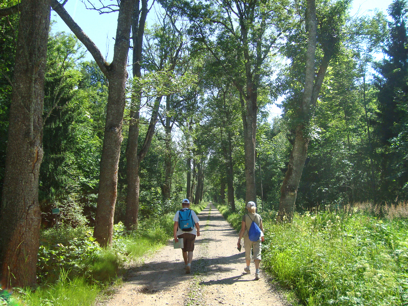 Pilgerweg von Pirita nach Vana–Vastseliina