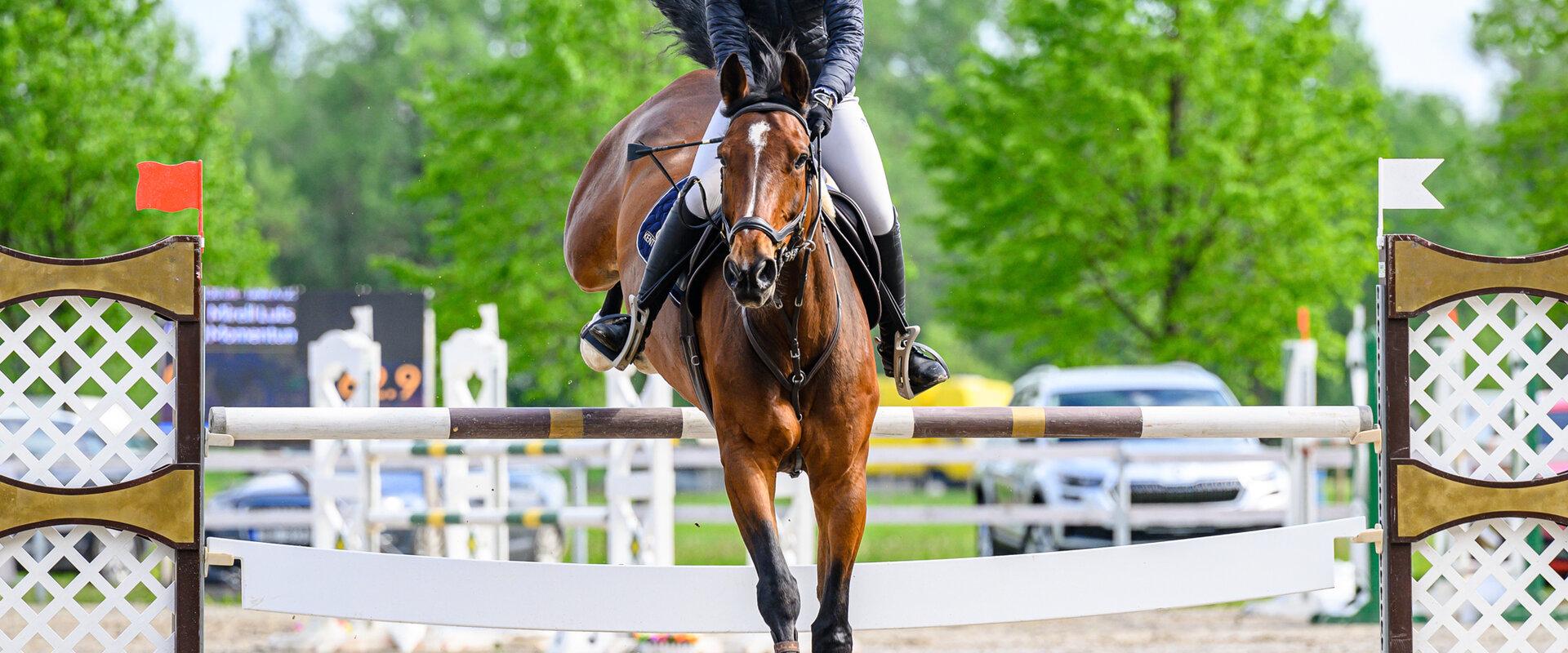 CHI Pärnu – Starptautiskais jāšanas sporta festivāls