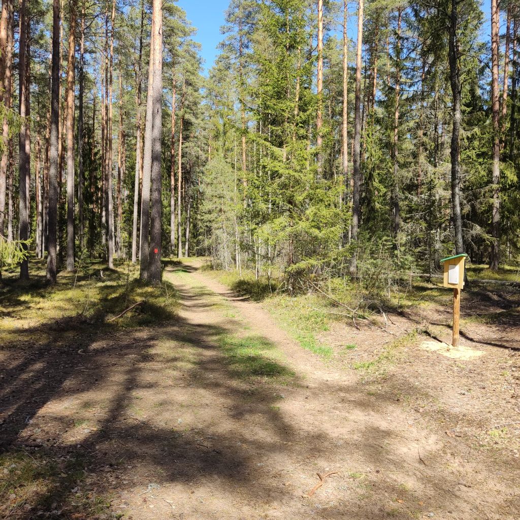 RMK Laari metsanduslik õpperada