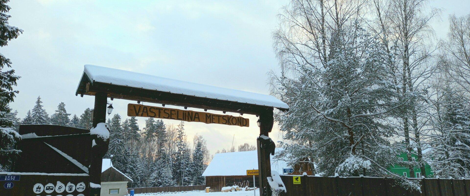 Vastseliina Metskonna puhkeala