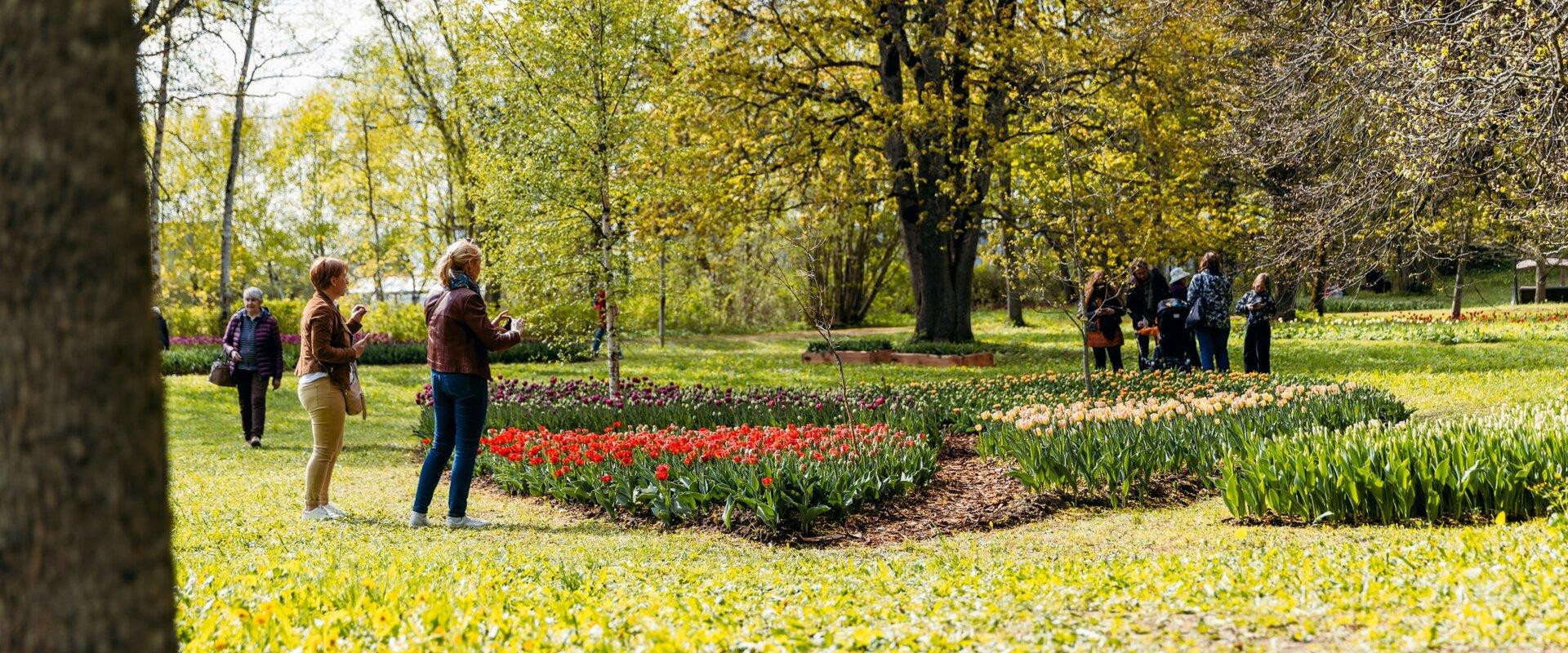 Kirnas muižas parks