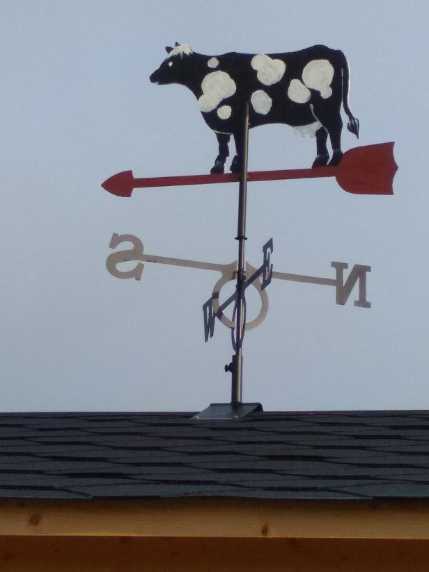Lehmamamma Lebola lehm katusel