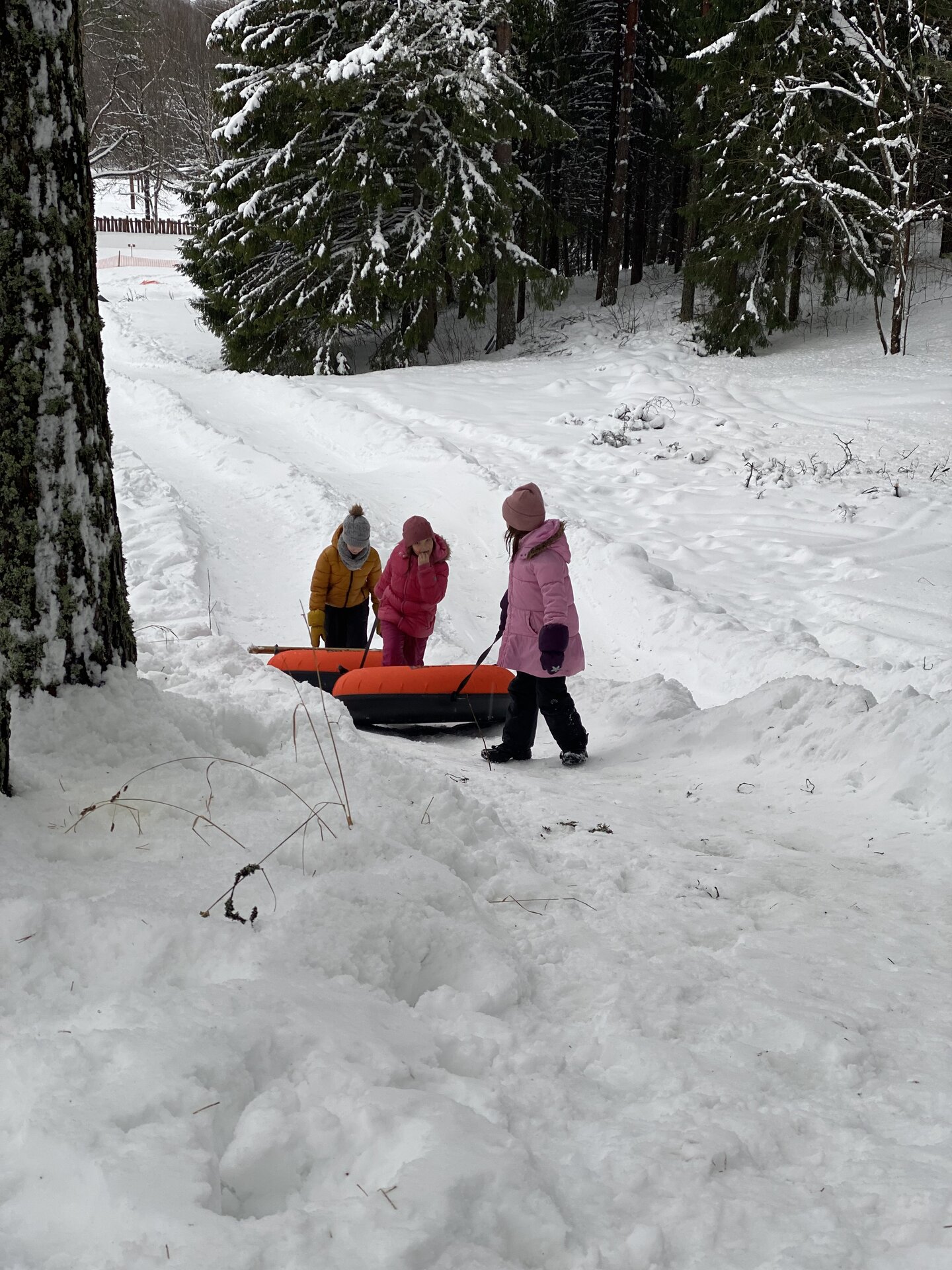 Snow Tube Track in Kalevipoeg's Home