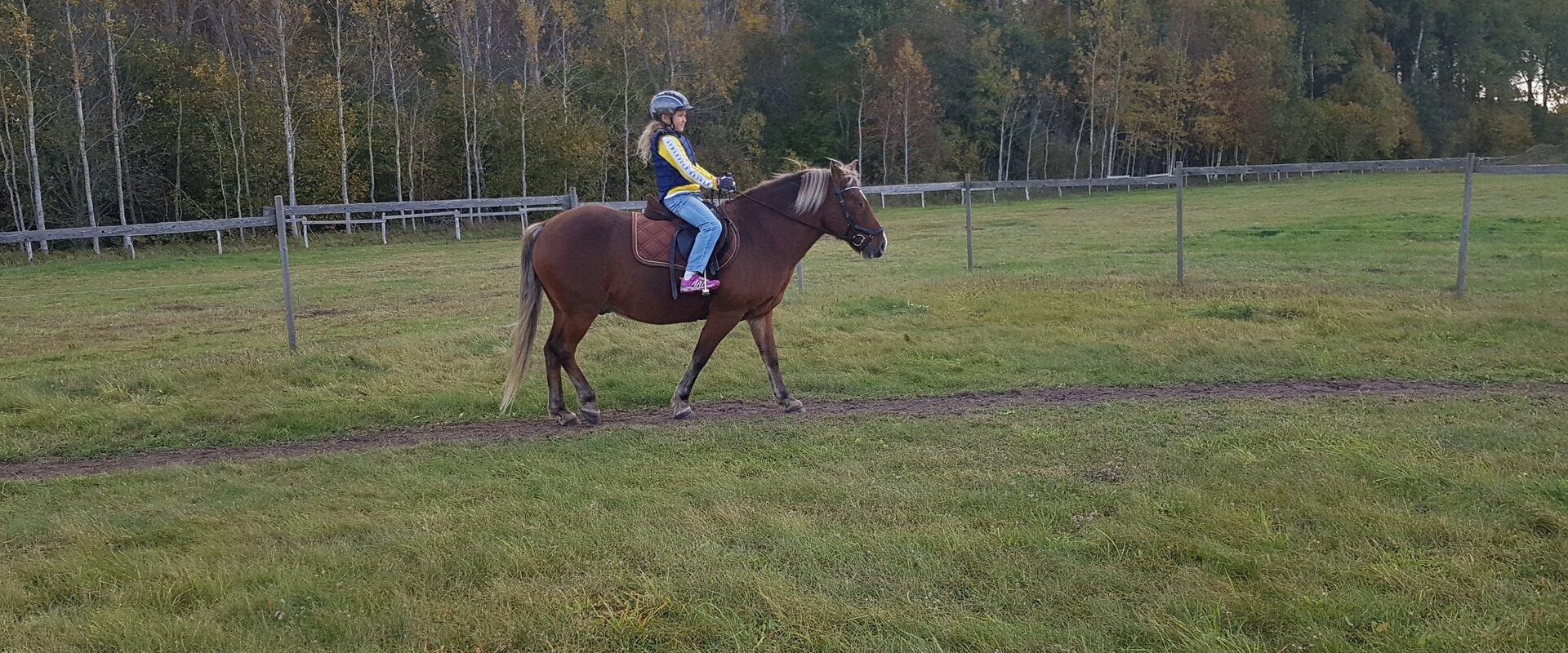 A girl on a horse