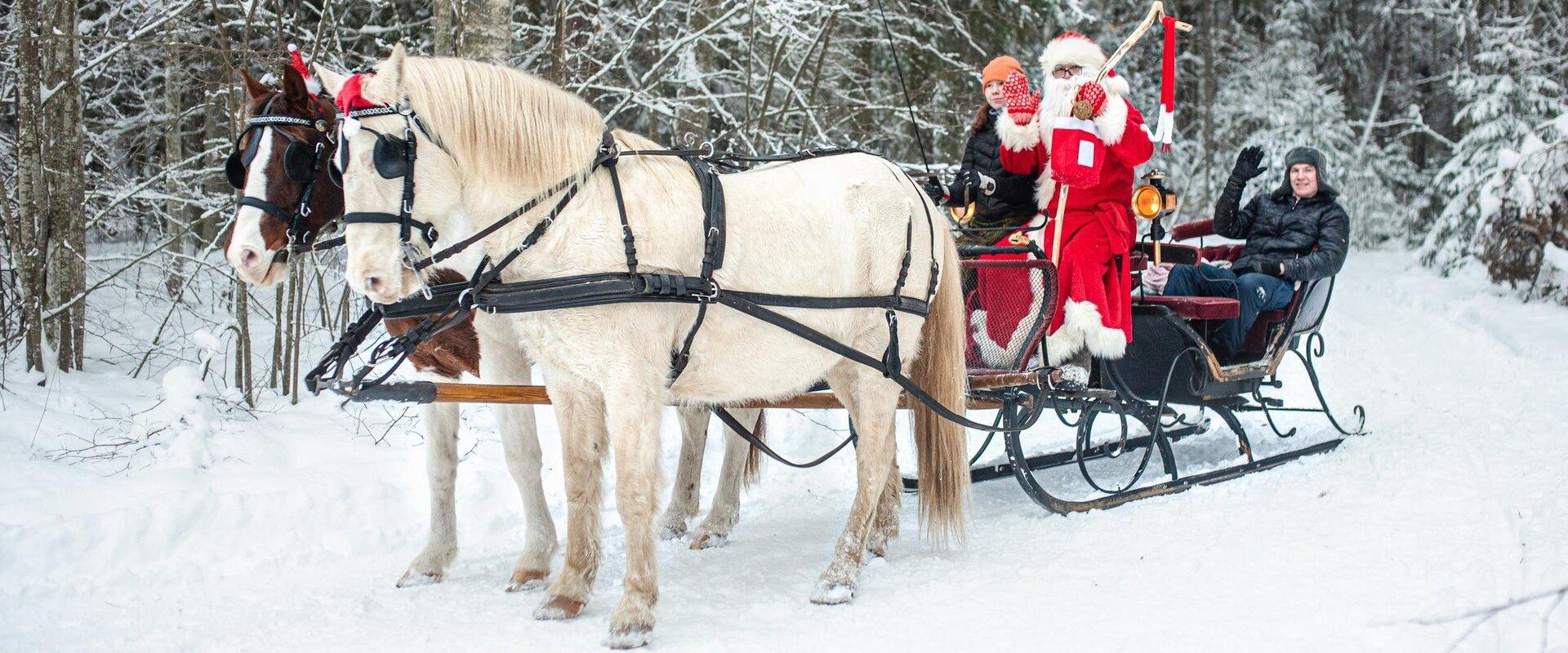 The picturesque carriage or sleigh ride takes you to the sacred Taevaskoda outcrops, the exciting Mõtsküla forest or the enchanting Ants Kingdom in Ak