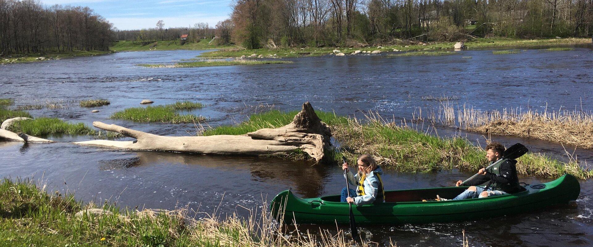 Canoe trip on Navesti and Pärnu rivers - Levikivi canoe rental