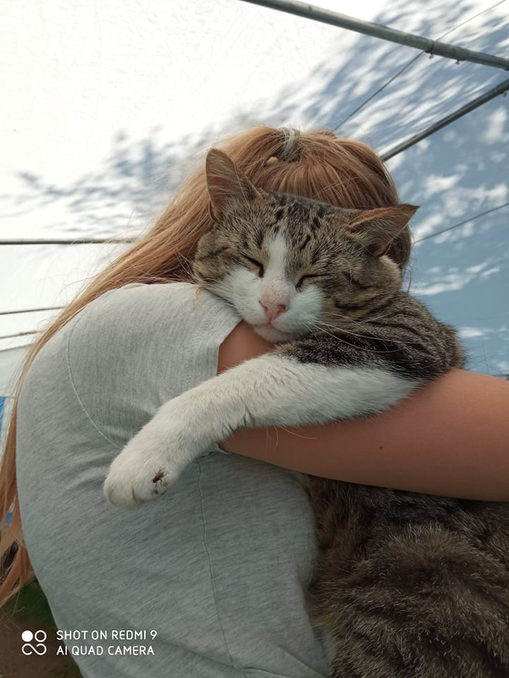 Seppami Talu koduloomade park