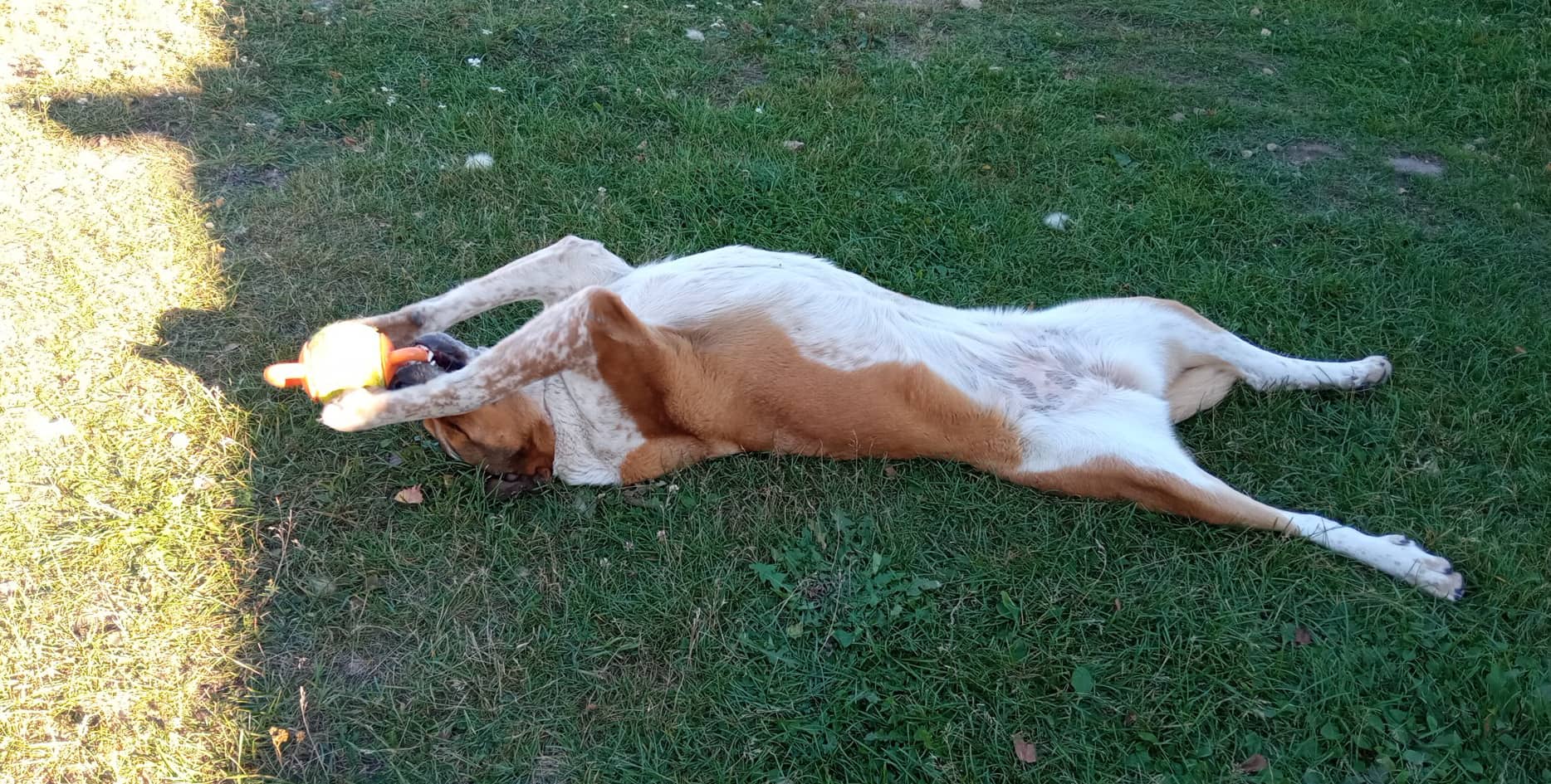 Seppami Talu koduloomade park