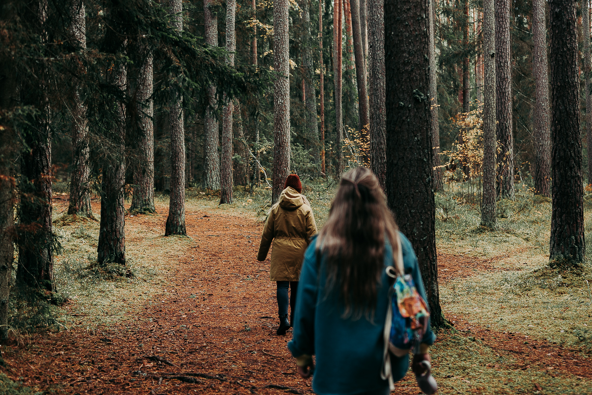 Nature Energy Trail, 'Hands of Energy' - a place to feel the power of the forest