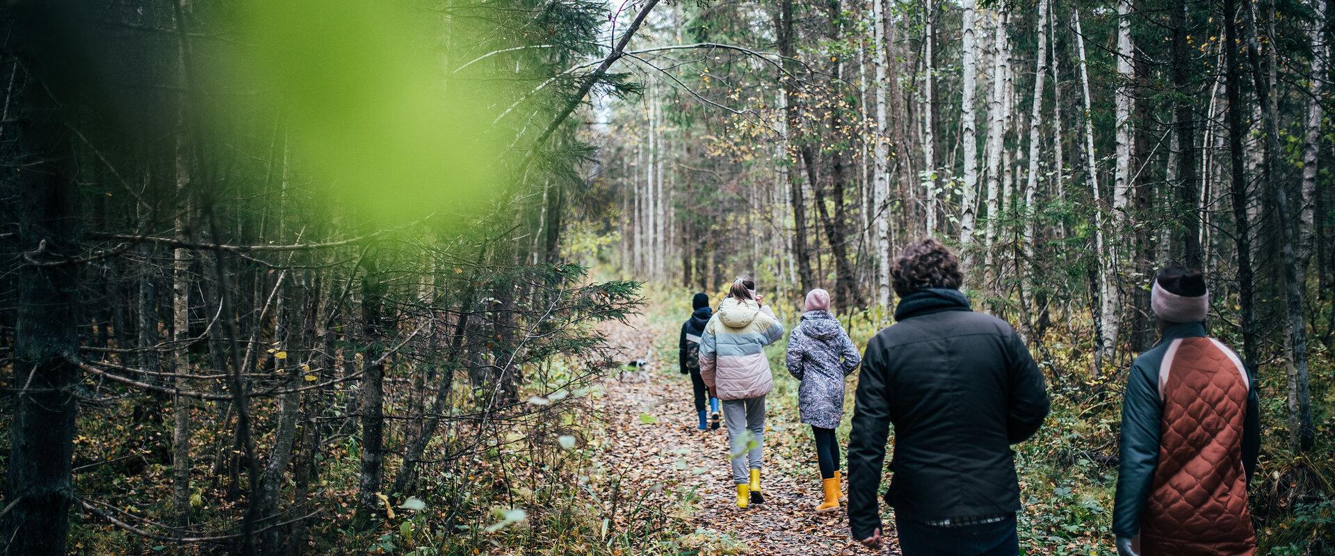 Ingatsi Nature Study Trail