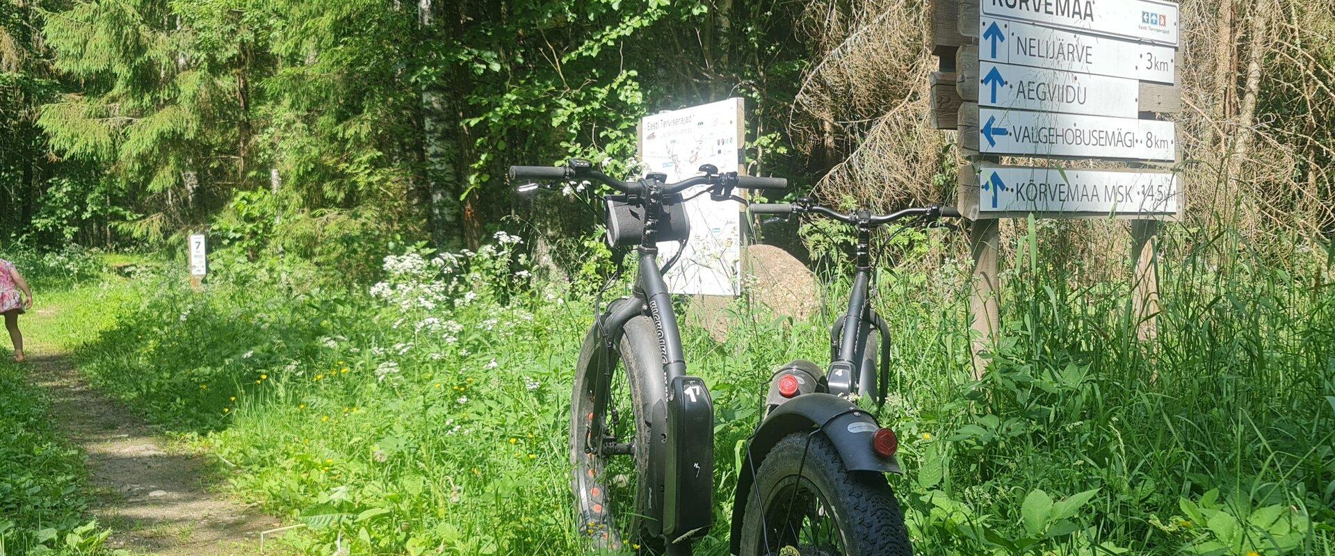 E- Bike elektrirattamatk Nelijärve ja Aegviidu radadel