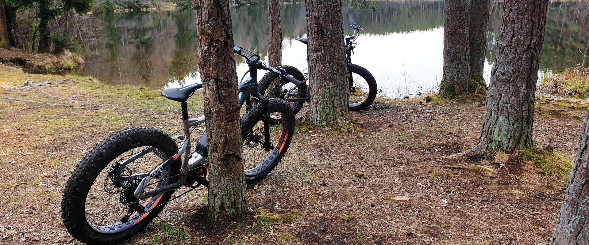 E-Bike sähköpyöräretki Pohjois-Kõrvemaalla