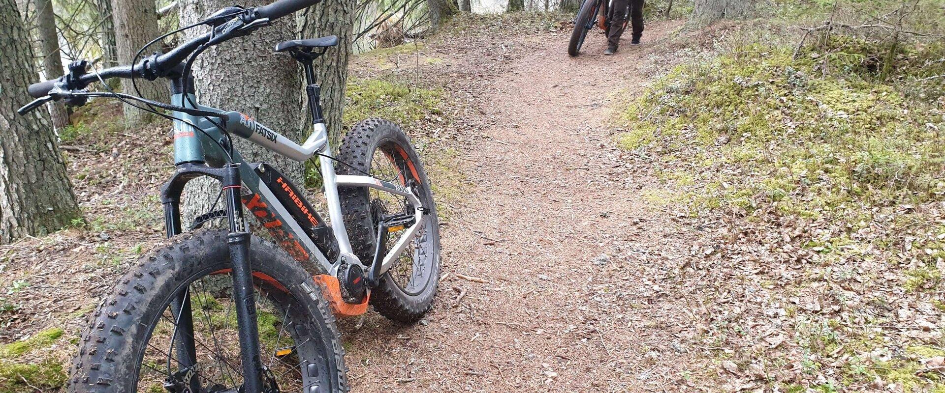 E-Bike sähköpyöräretki Pohjois-Kõrvemaalla