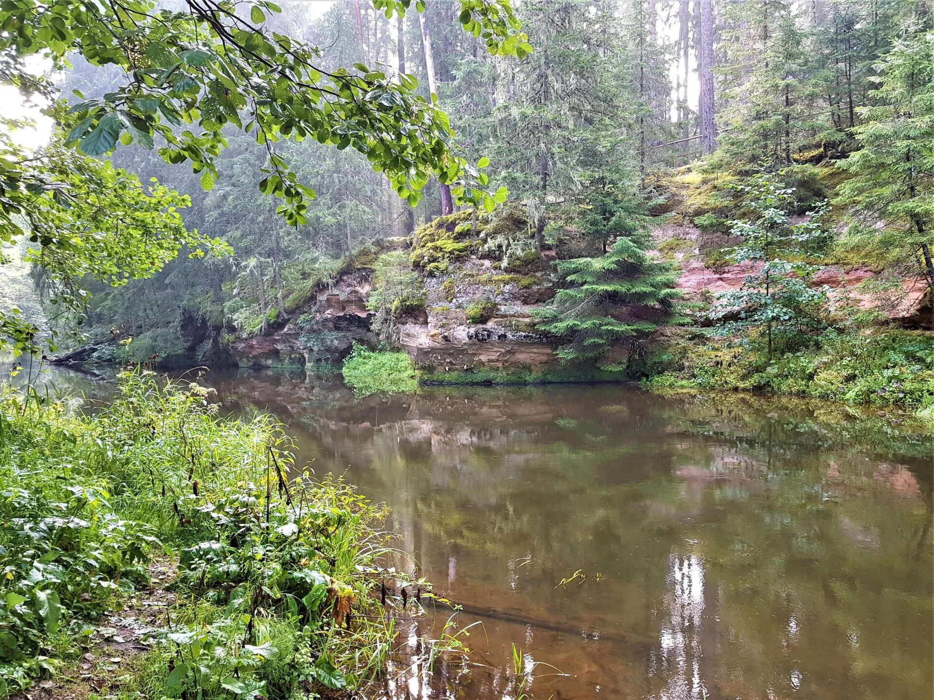 E-Bike Tour on the Trails of Taevaskoda