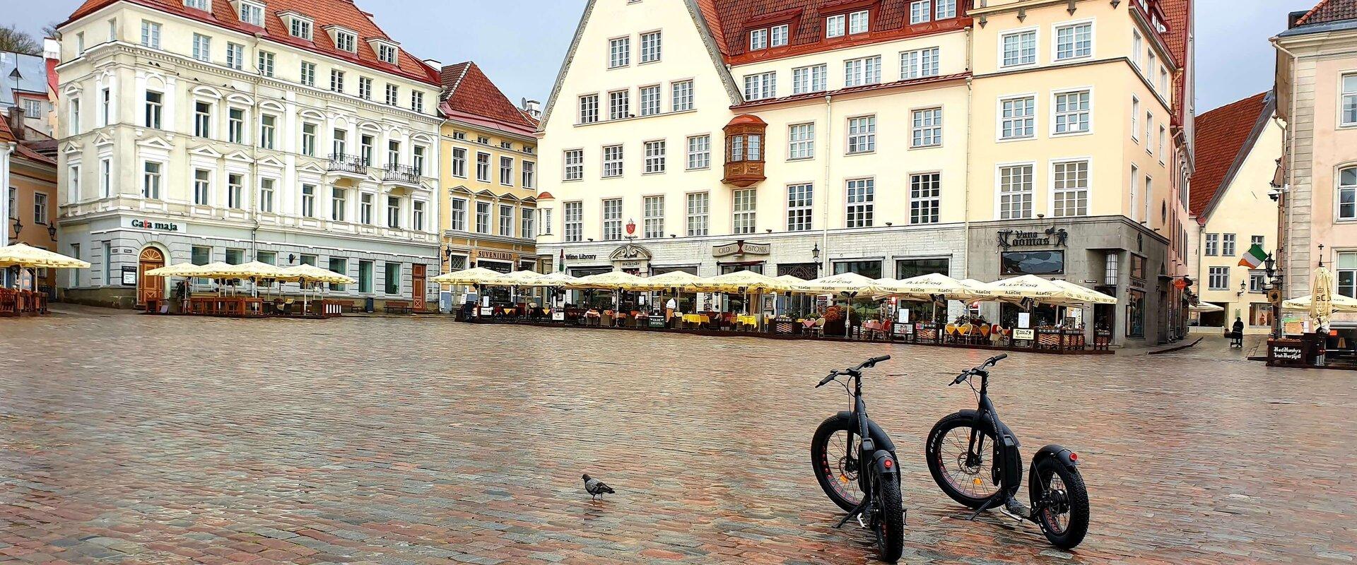 Stadttour in Tallinn/Elektrofahrradtour/Tallinns Altstadt