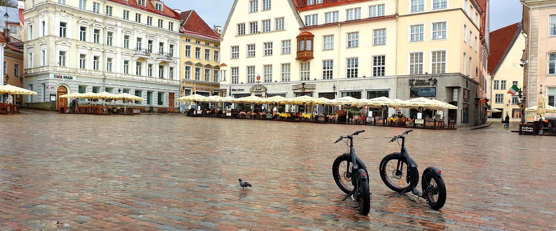 E-Bike City Tour on electric bikes (Old Town, Kadriorg Park, Pirita)