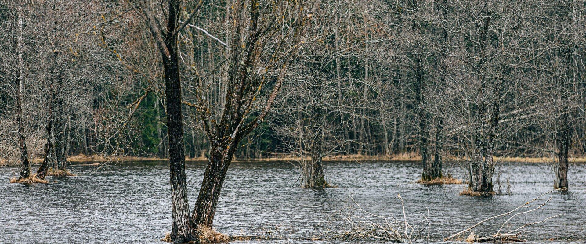 Läti meadow and seasonal flood