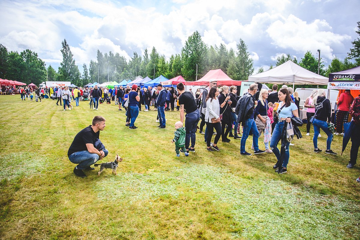 Rääbisefestival