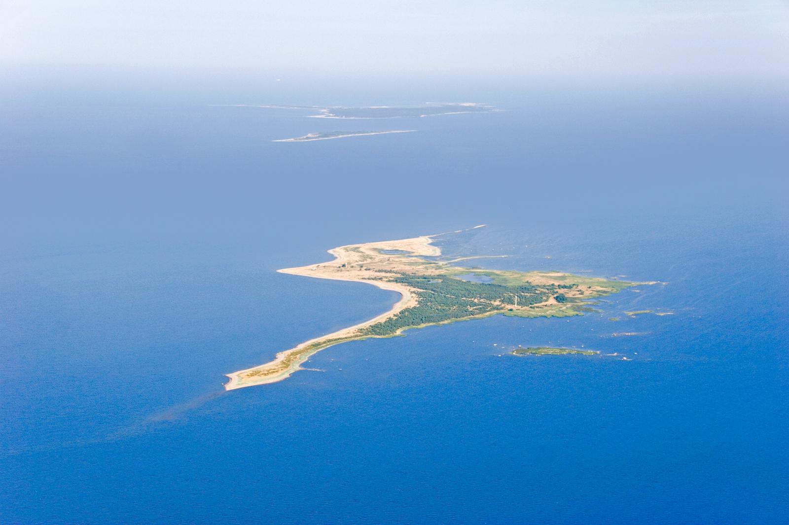 Regular Seal Observation Trips among the Islands of Kolga Bay