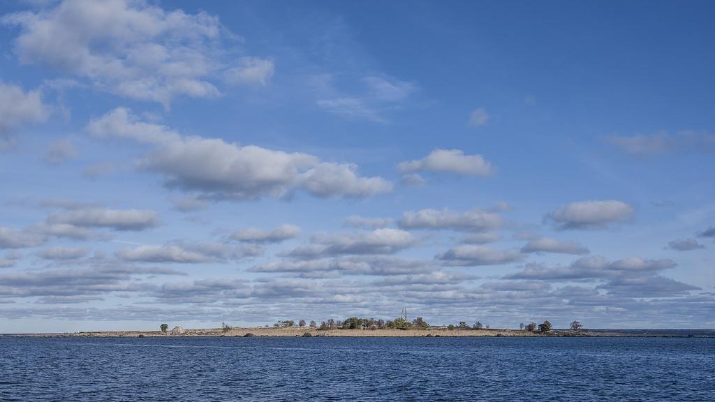 Regular Seal Observation Trips among the Islands of Kolga Bay