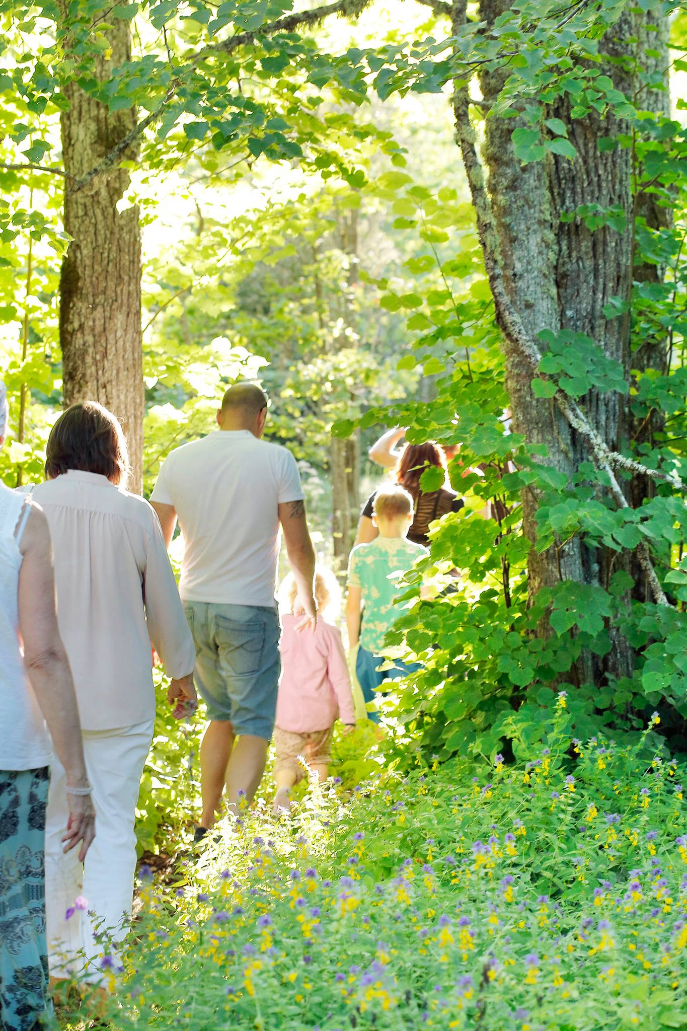 Guided tour of Salevere Salumäe