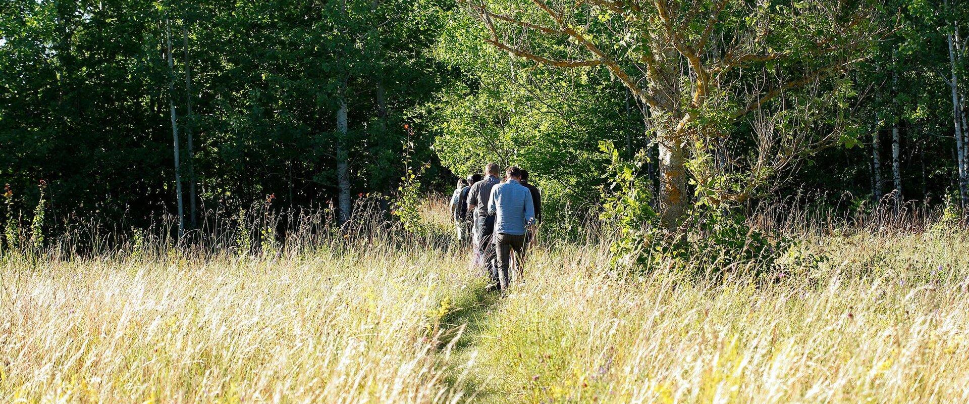 Guided tour of Salevere Salumäe