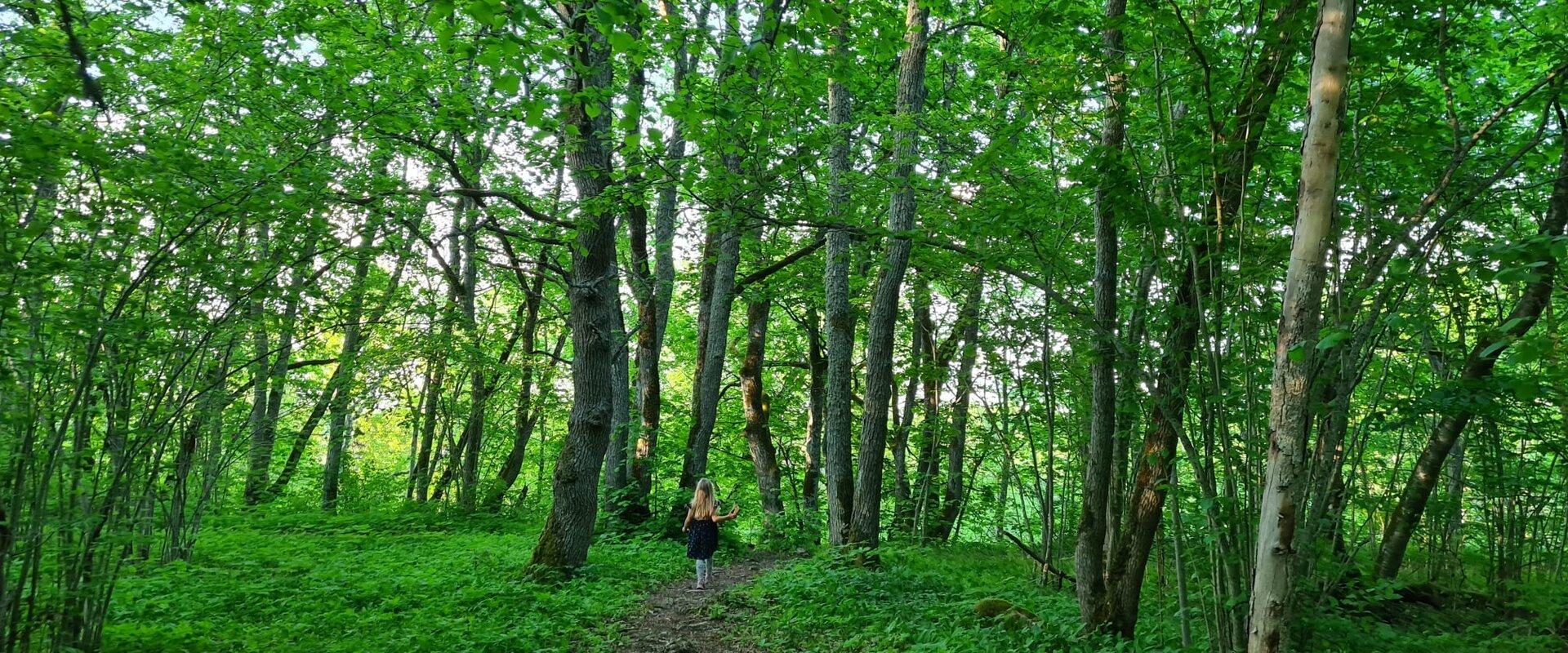 Guided tour of Salevere Salumäe