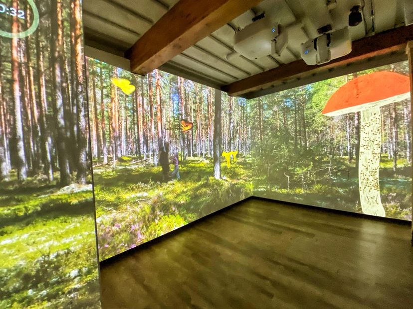 Sagadi Forest Museum