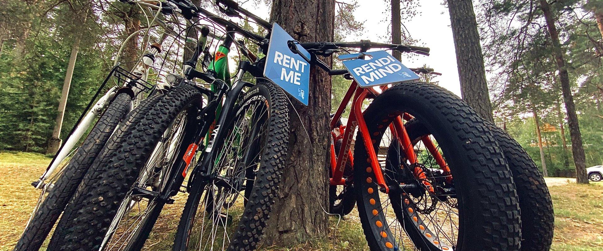 Verevi Motelli Fatbike´i, jalgrataste ja rulluiskude rent