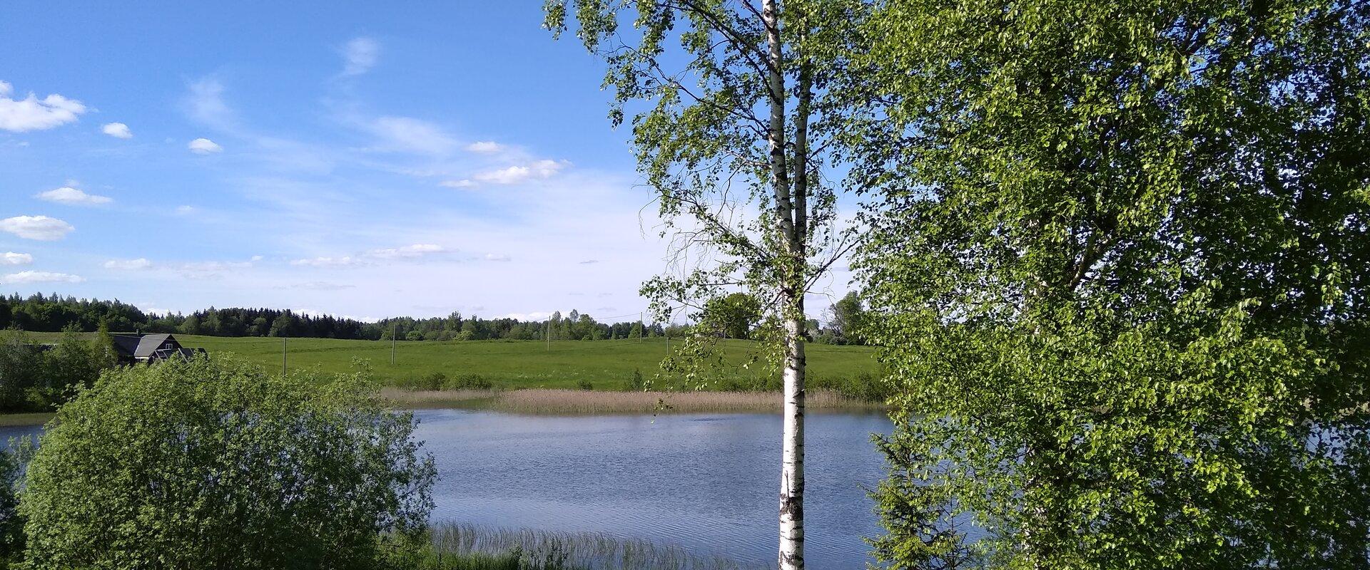Pähnamäe metsamajake, vaade järvele