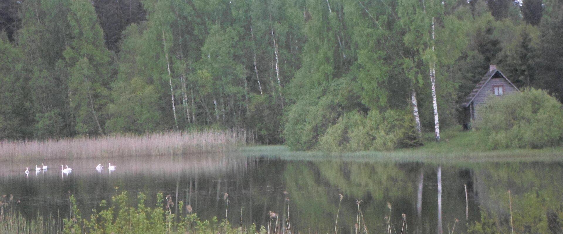 Pähnamäe metsamajake, vaade järvelt