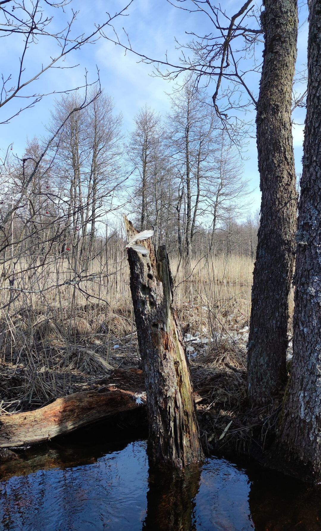 Nature discovery with SUP-board trip and walking hike at Soo
