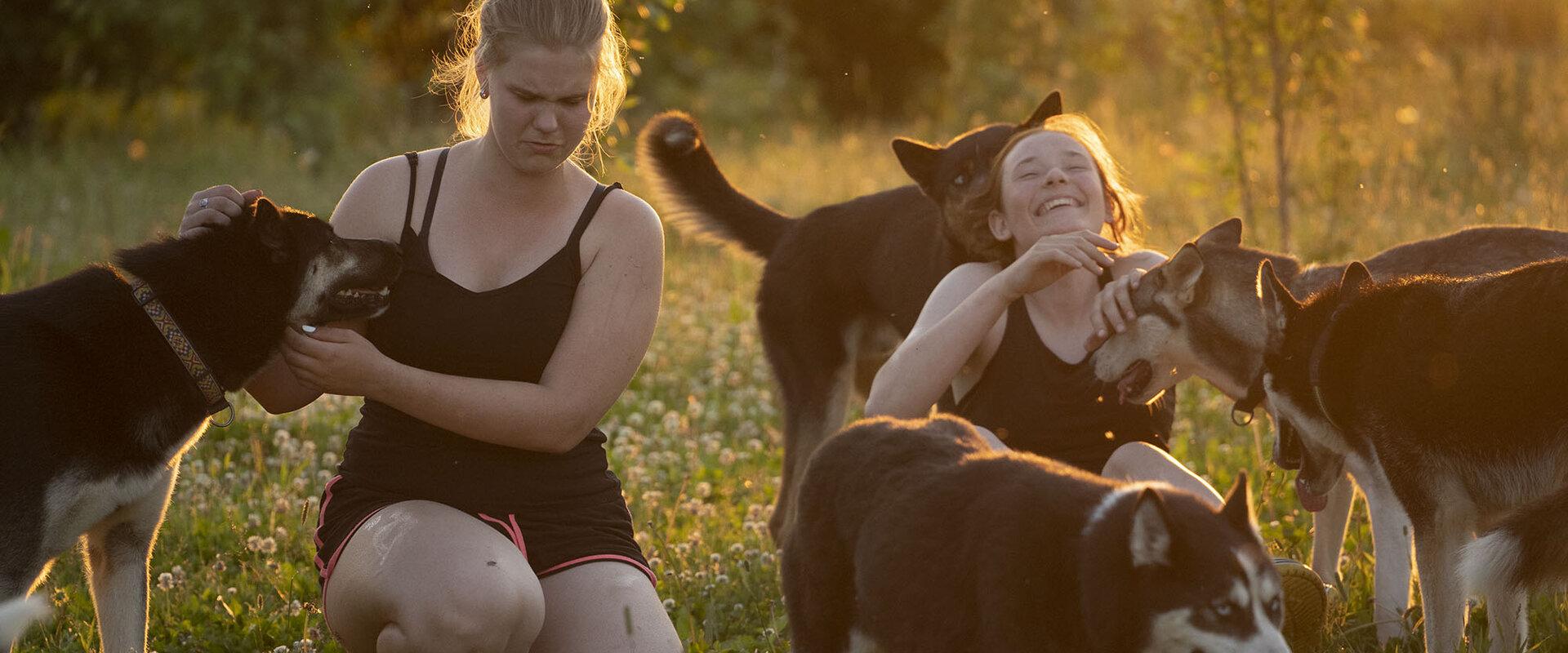 Visitors to Kennel Agirregoikoa in the summer