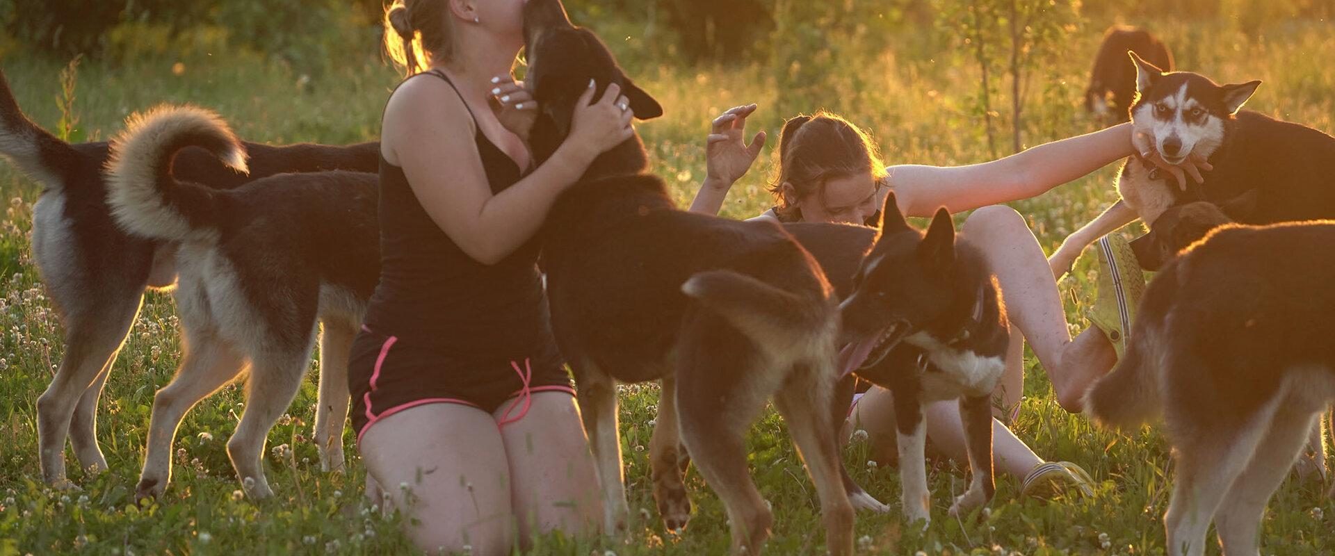 Visitors to Kennel Agirregoikoa in the summer