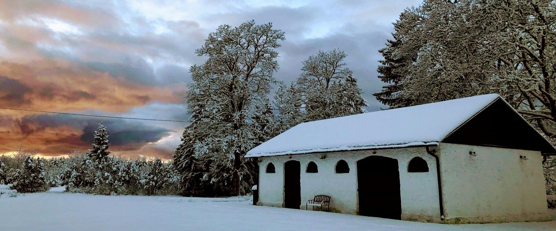 Wissen Sie, wie man einen Weihnachtsbaum wiederverwenden kann oder wie alkoholfreier Gin schmeckt? Besuchen Sie das Zentrum Lahhentagge und nehmen an 