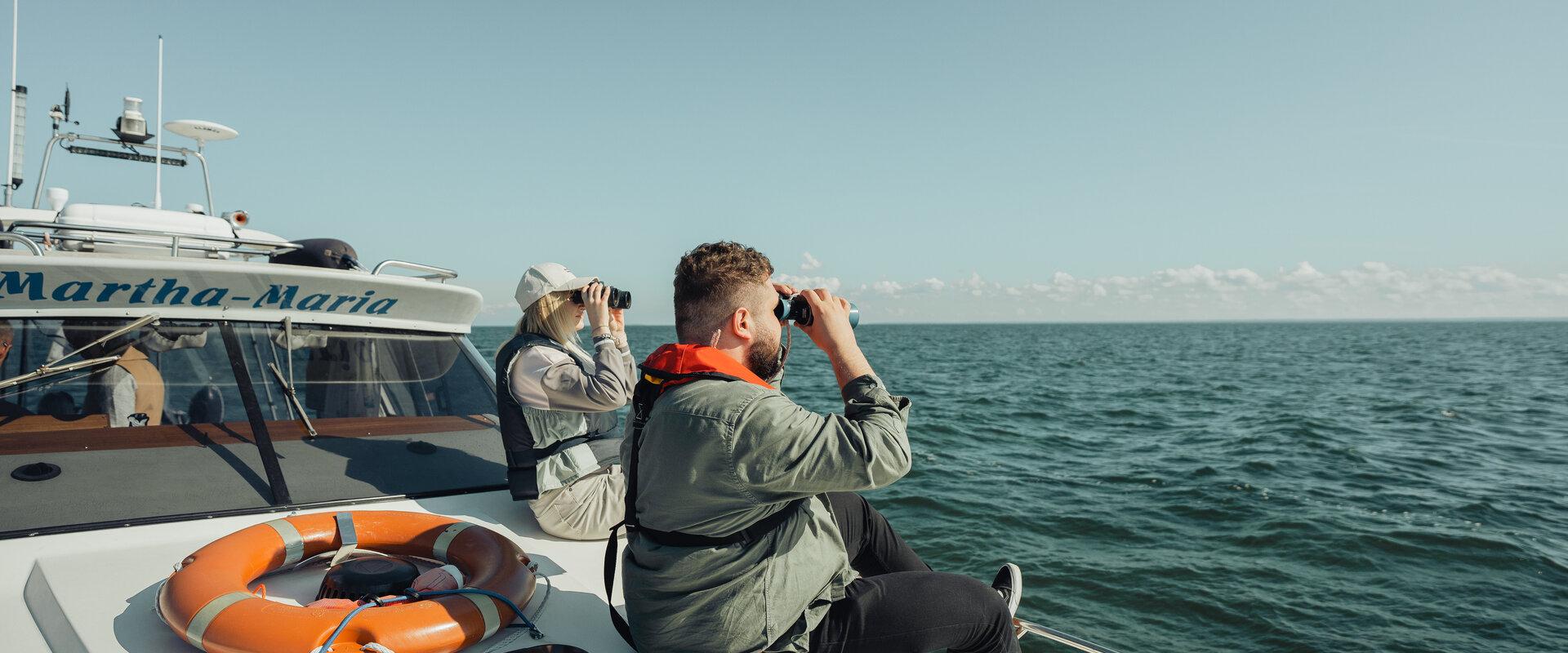 Seal observation trip in Hiiumaa
