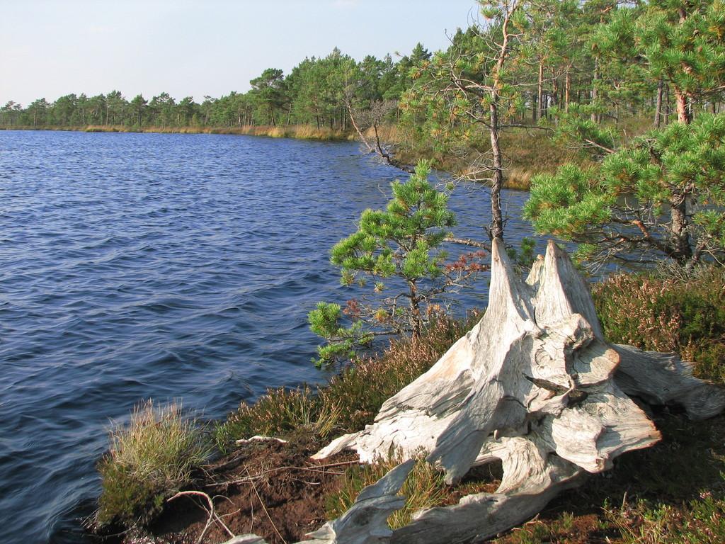 Lake Öördi nature study trail